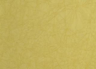 Фото - Обои Desima Object Line - 576892>