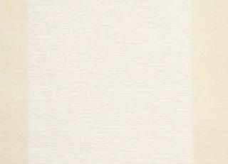 Фото - Ткани Equipo DRT Bolshoi - 458709>