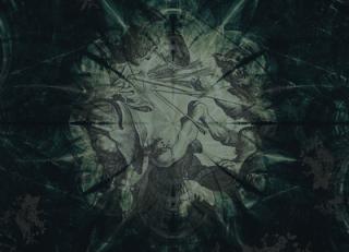 Фото - Обои KT Exclusive Vanilla Lime - 435165>