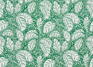 Фото - Ткани Pierre Frey Maya - 482495>