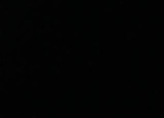 Фото - Ткани Coordonne Venezia - 474109>