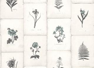 Фото - Обои Paper Partnership University of Oxford Archives vol.2 - 375762>