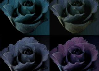 Фото - Обои ECO wallpaper Renaissance - 234146>