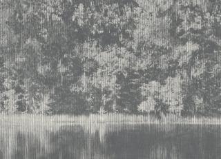 Фото - Обои Black Edition Mizumi Wallcoverings - 418769>