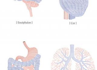 Фото - Обои Mr Perswall Communication - 234729>