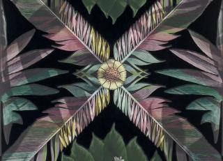 Фото - Обои Christian Lacroix Utopia - 550088>