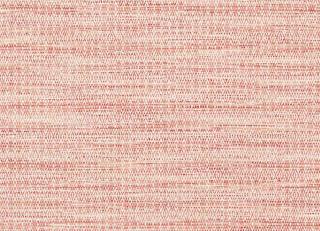 Фото - Ткани Colefax and Fowler Tarn - 554037>