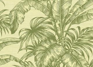 Фото - Обои KT Exclusive Sage II - 346914>