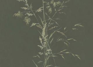 Фото - Обои Eijffinger Waterfront - 526549>