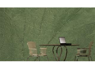 Фото - Обои Glamora Essence - 225495>