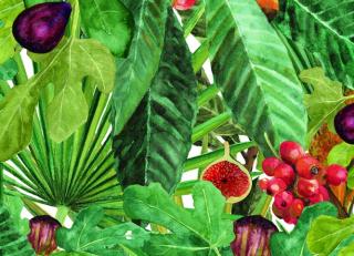 Фото - Обои Coordonne Metamorphosis - 505967>