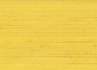 Фото - Обои Elitis Coiba - 398435>