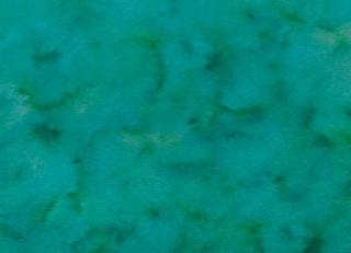 Фото - Ткани Zinc Pantelleria Prints - 472517>