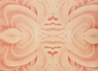 Фото - Обои Giardini I Giardini delle Meraviglie - 256021>