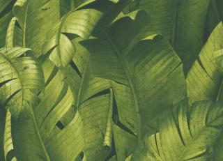 Фото - Обои Peel&Stick Collection PS - 591928>