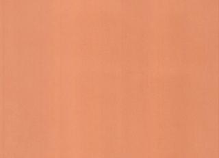 Фото - Обои Caselio Pretty Lili - 375907>