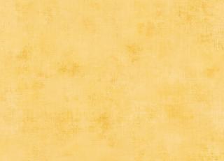 Фото - Обои Caselio Telas - 399250>