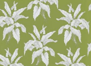 Фото - Обои Equipo DRT Senso - 405140>