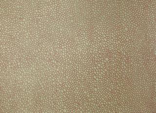 Фото - Обои Fromental Serigraphe - 319389>