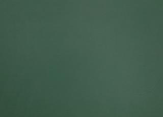 Фото - Ткани Zinc Leather Volume I - 565556>