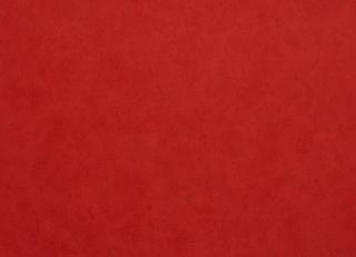 Фото - Обои Caselio Romarin - 231439>