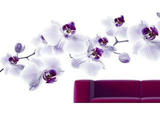 Фото - Обои Glamora Essence - 225527>