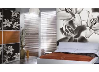 Фото - Обои Glamora Essence - 225513>