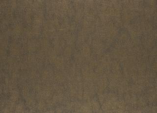 Фото - Ткани Designers Guild Arizona - 281868>