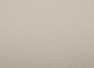 Фото - Обои Zimmer + Rohde Identity - 351081>