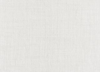 Фото - Ткани Dedar Wide Linen Leggerissimo - 563060>