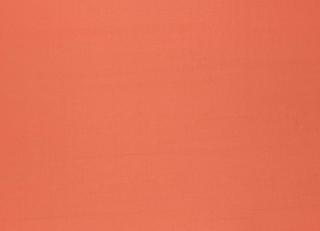 Фото - Ткани Villa Nova Shimla - 489921>