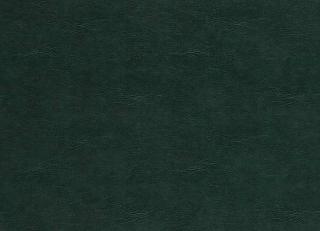 Фото - Ткани Clarke&Clarke Dawson - 530144>