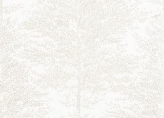 Фото - Обои Caselio La Foret - 522338>