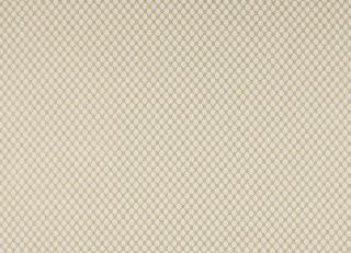 Фото - Ткани Colefax and Fowler Denbury - 603014>