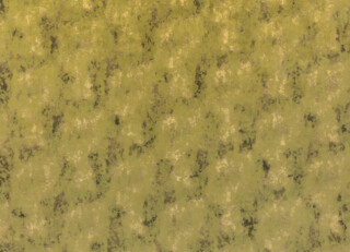 Фото - Ткани Zinc Holland Park - 628915>