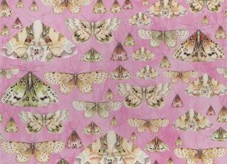 Фото - Обои Designers Guild Jardin Des Plantes - 320733>