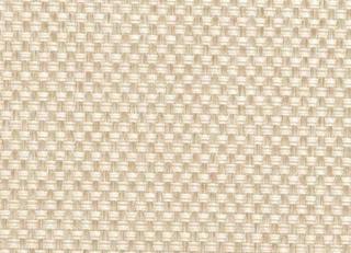 Фото - Ткани Clarke&Clarke Maximus - 296390>