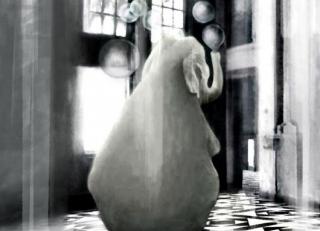 Фото - Обои Mr Perswall Shades - 234556>