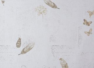 Фото - Обои Caselio Curiosity - 223607>