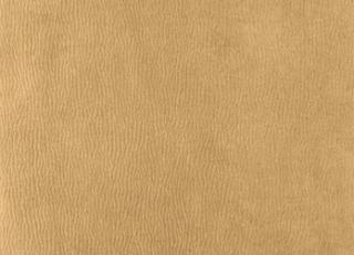 Фото - Ткани Houles Ginkgo - 465194>