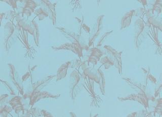 Фото - Обои Equipo DRT Senso - 405141>