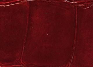 Фото - Обои Elitis Anguille - 257746>