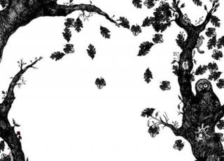 Фото - Обои Mr Perswall Creativity & Photo Art - 235045>