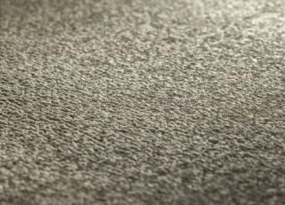 Фото - Ковры JAB Anstoetz Infinity - 574189>