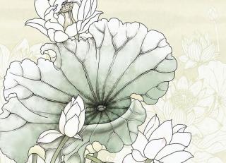 Фото - Обои Ortograf Grafika Natura - 477002>