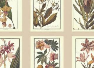 Фото - Обои Ashford House Ashford Toiles - 316642>