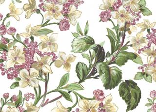 Фото - Обои Coordonne Metamorphosis - 505987>