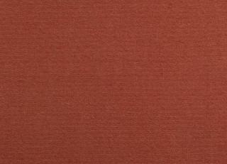 Фото - Ткани Antoine d'Albiousse Toile de Cocher - 480282>