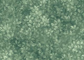 Фото - Обои Coordonne Feria - 559085>