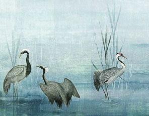 Фото - Обои Khroma Helium - 424547>